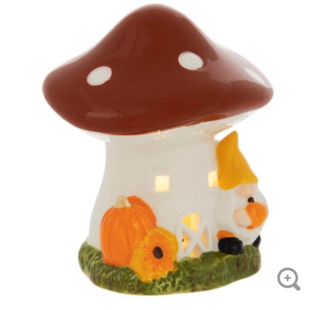 Illuminated Mushroom House & Gnome, New
